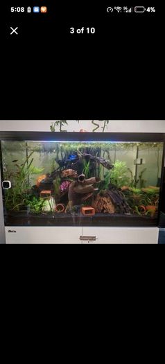 fish tank