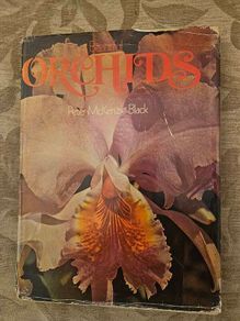 Beautiful Orchids. By Peter Mckenzie Black. First Edition Large Volume Hardback With Dustjacket In Fair Condition. See Photos For Same