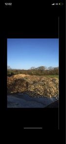 Fodder beet cheap feed