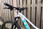 Trek Mountain Bike