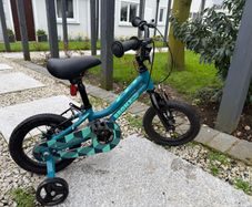 Kids Bronx 14 Inch Wheel Size Unisex Mountain Bike