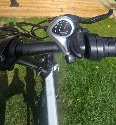 Electric Bike