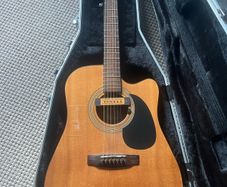 Acoustic Guitar