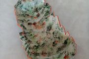 Forest Fern
