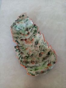 Forest Fern