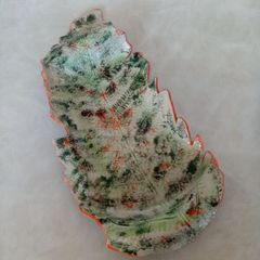 Forest Fern