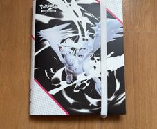 Pokemon Binder and Cards