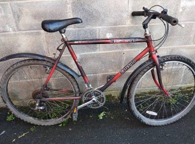 men's 26inch Raleigh