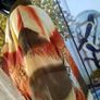 Beautiful Taifun Overshirt Size UK 12, AV Image 8