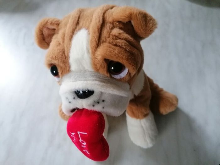 Soft Dog Plush