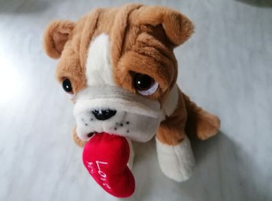 Soft Dog Plush