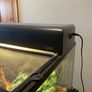 Exo Terra Reptile Tank Image 3