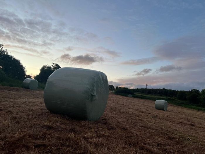 42 Bales of Haylage, Not chopped, good for horses