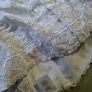 White satin corset top Image 7