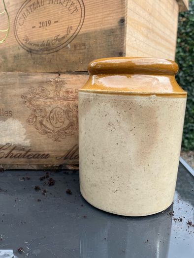 Large stoneware Jam Croc