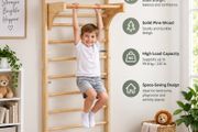 Swedish ladder Wooden Wall Gym