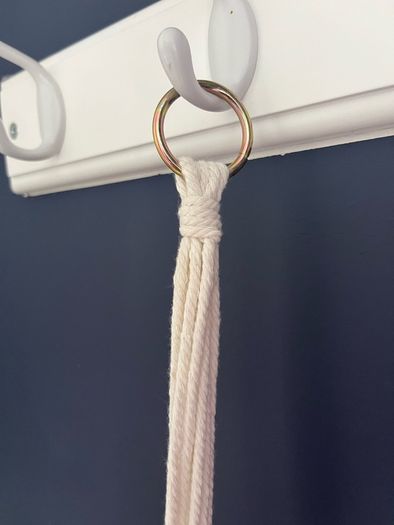Hanging House Plant (plastic)