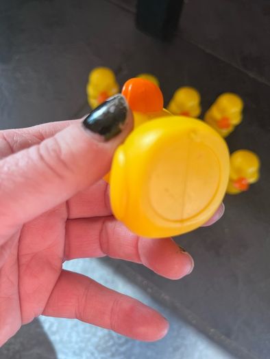 Ducks