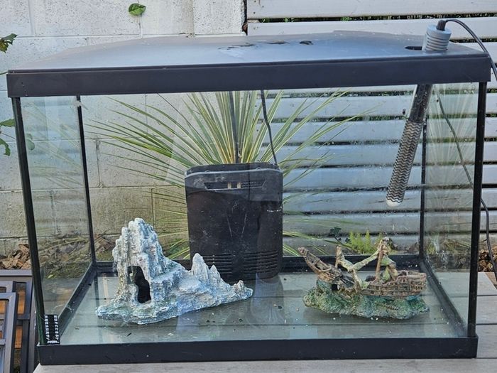 fish tank