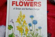Wild Flowers , a Handbook
