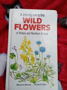 Wild Flowers , a Handbook