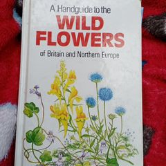 Wild Flowers , a Handbook