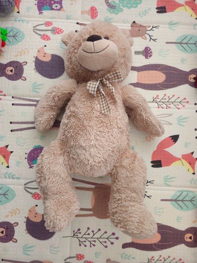Big teddy bear