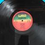 The Lookalikes, Daydreaming at night  LP with inner, Portugal press,   Irish New Wave Image 4