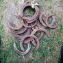 20 horse shoos Image 2