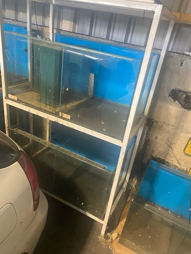 fish racks