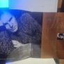 STING 1996 Mercury Falling Tour Concert Program Image 2
