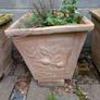 5 Large Terracotta Planters Image 2