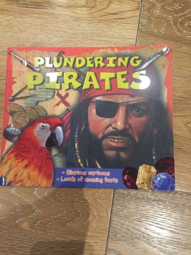 Plundering Pirates Book