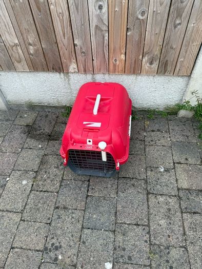 cat carrier