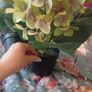 Household decor bundle Image 6