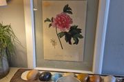 Botanical Print