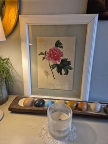 Botanical Print