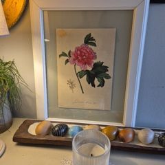 Botanical Print