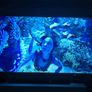 Elite Screens 110" ALR CineGrey 5D Aeon Edge  Projector Screen Image 6