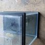 Fish tank Image 2