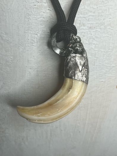 1 Spiritual Wild Boar Soldered Tooth Talisman Amulet Pendant Gift Antique Witchcraft Warrior Tribal