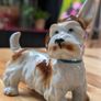 German porcelain terrier Image 8
