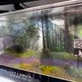 1/64 Forest Diorama Image 2