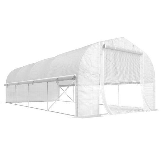 Large Tunnel Greenhouse19.5 x 9.8ft