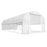 Large Tunnel Greenhouse19.5 x 9.8ft Image 2