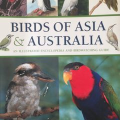 Birds of Asia & Australia