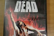 The Evil Dead DVD 1981