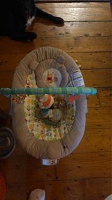 bath & bouncer
