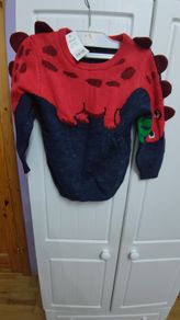 Girl Jumper New