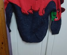 Girl Jumper New